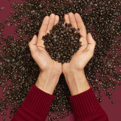Person digging two hands into a pile of coffee beans and filling their palms with coffee beans and lifting them up