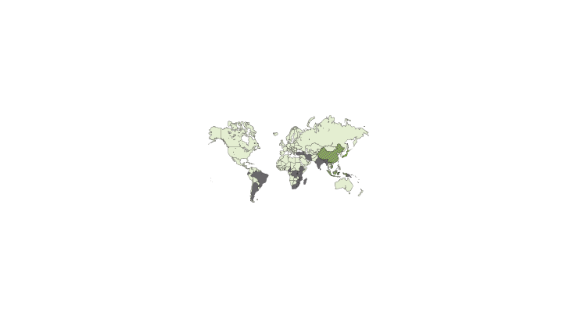 Tea process and origin
