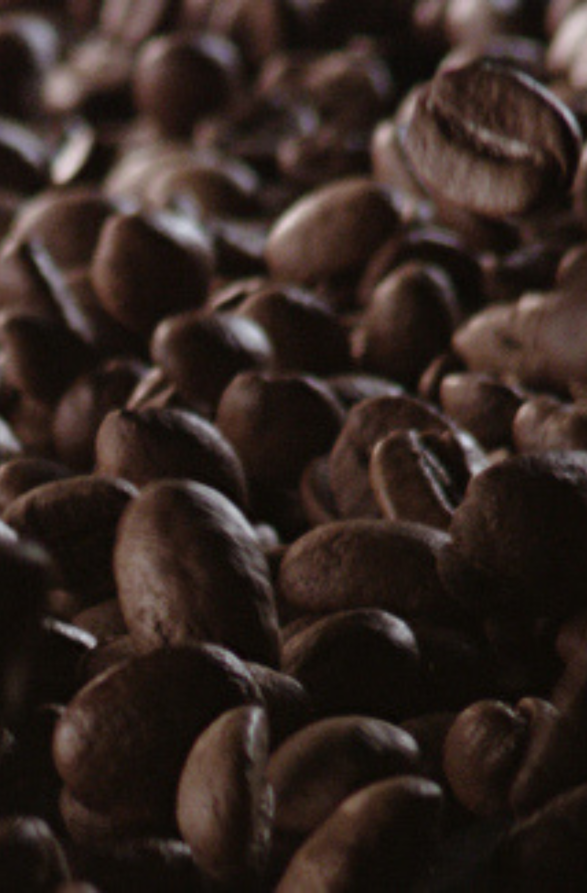 gb-coffeebeansourcing