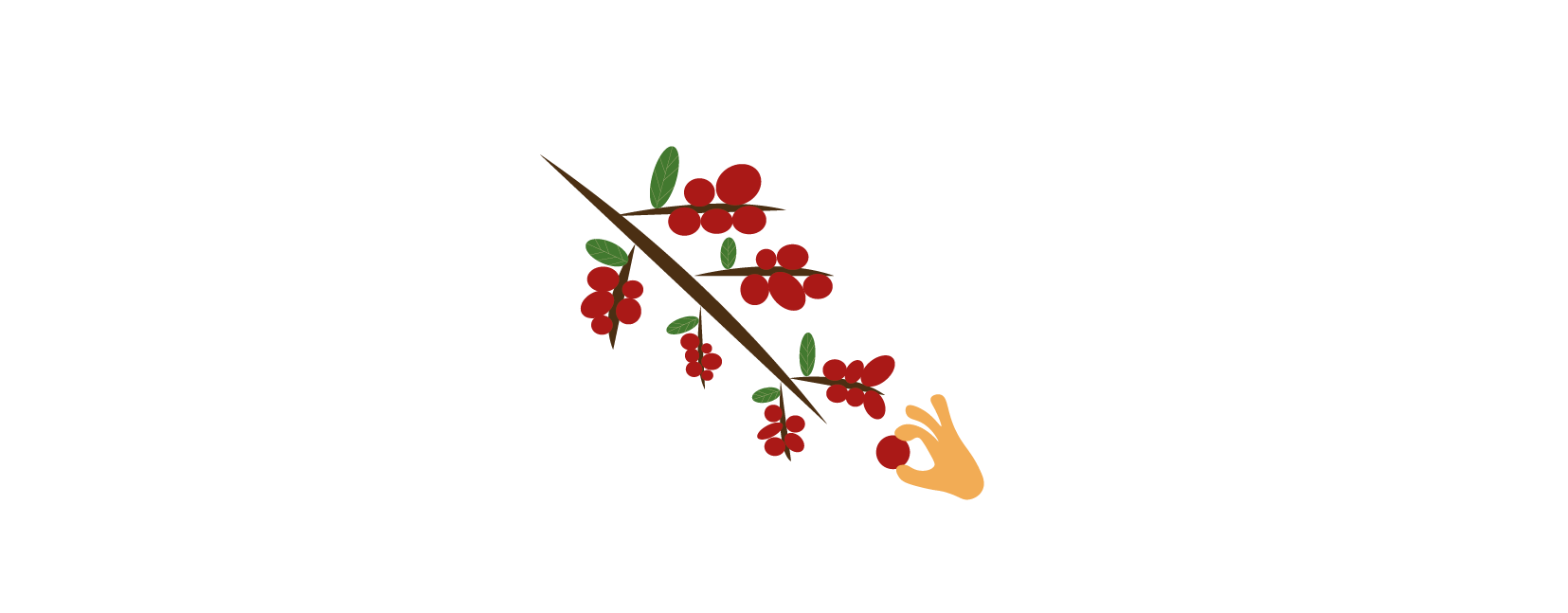 Harvesting